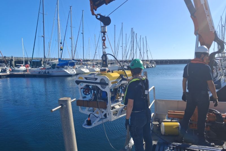 celadon-rov-a-quai-2