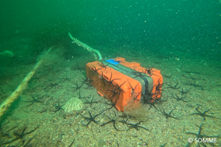 DCIM100GOPROGOPR1062.JPG