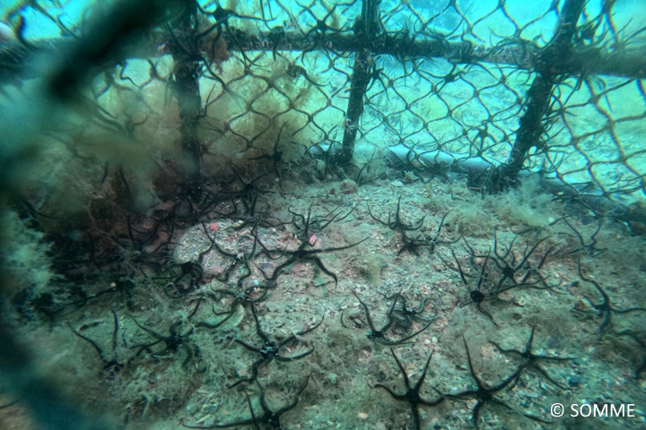 DCIM100GOPROGOPR1101.JPG