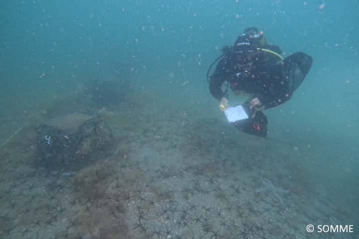 DCIM100GOPROGOPR1117.JPG