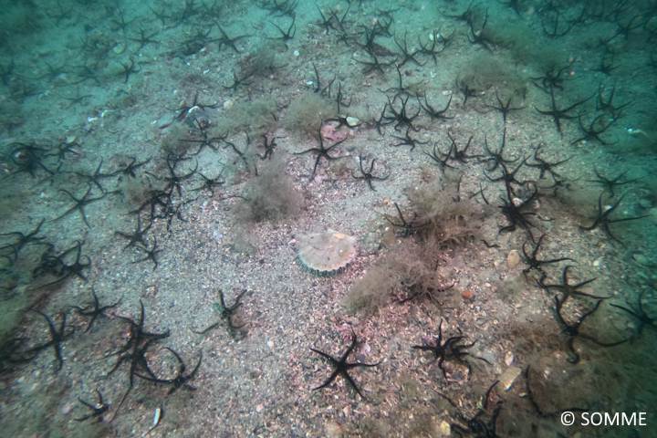 DCIM100GOPROGOPR1139.JPG