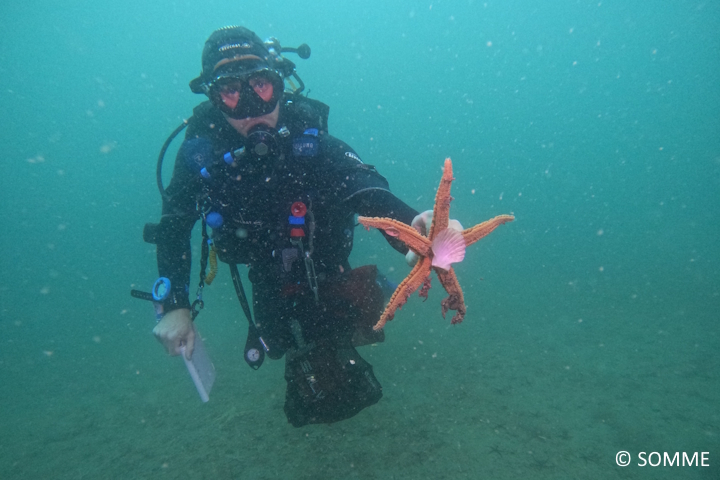 DCIM100GOPROGOPR1166.JPG